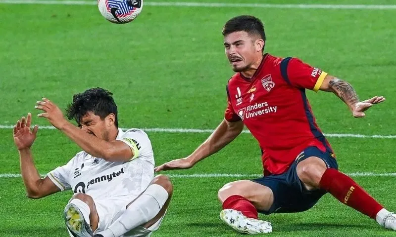 Tổng quan số liệu thống kê về câu lạc bộ bóng đá Adelaide United gặp câu lạc bộ bóng đá Macarthur