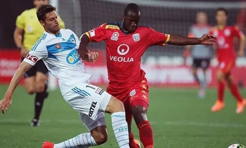 Phân tích số liệu thống kê về câu lạc bộ bóng đá Adelaide United gặp Melbourne Victory