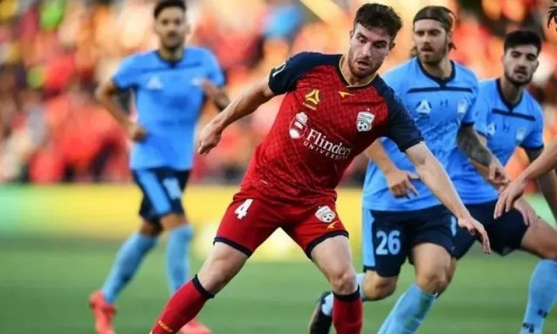 Phân tích số liệu thống kê về câu lạc bộ bóng đá Adelaide United gặp Sydney FC